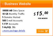 Business Web Hosting